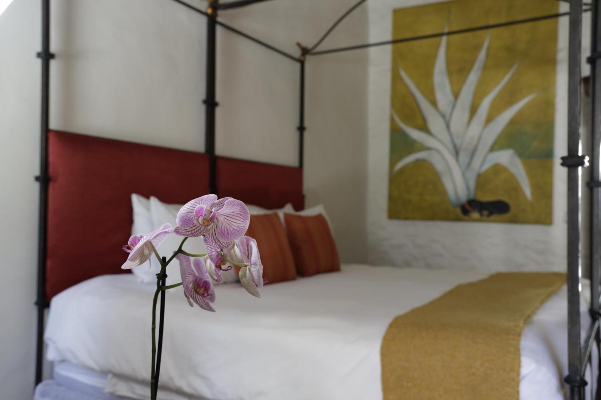 Orchid House サン・ミゲル・デ・アジェンデ エクステリア 写真
