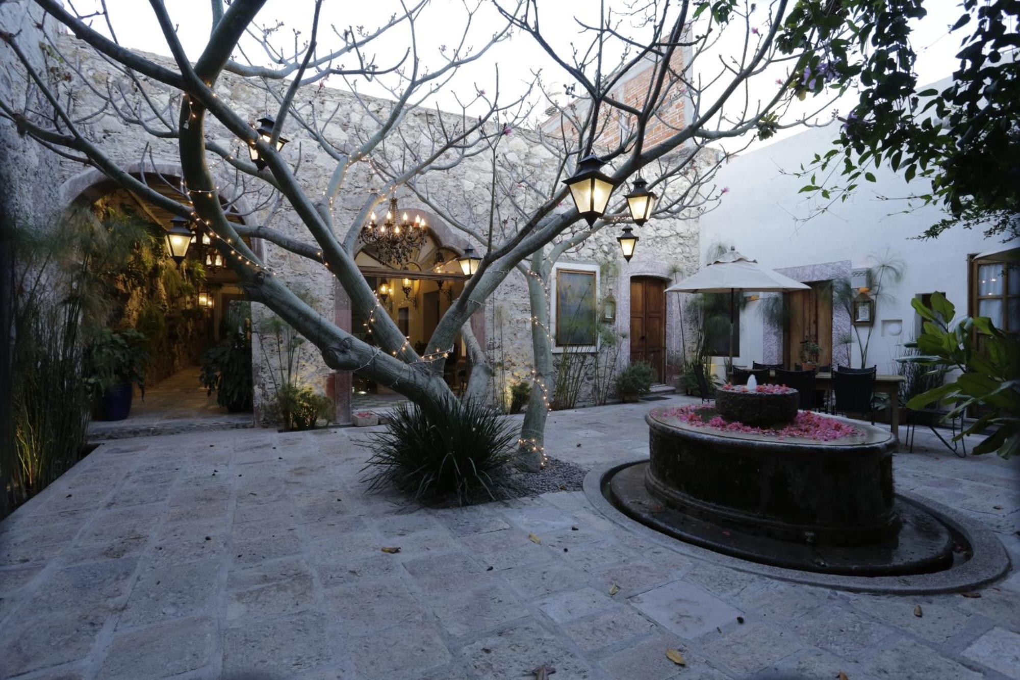 Orchid House サン・ミゲル・デ・アジェンデ エクステリア 写真